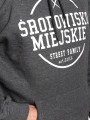 Środowisko Miejskie Hoody Theme Graphite