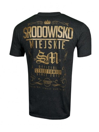 Środowisko Miejskie T-shirt Theme Graphite Gold