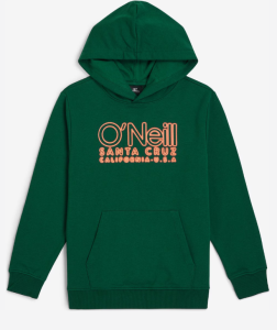 Bluza z kapturem O'Neill Essentials Dark Green